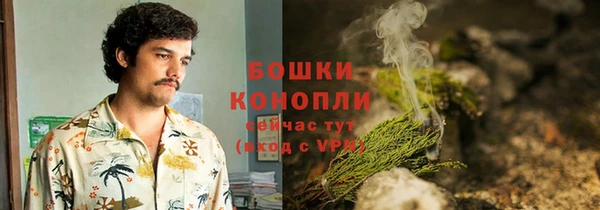 шишки Алексин