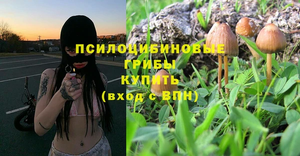 шишки Алексин